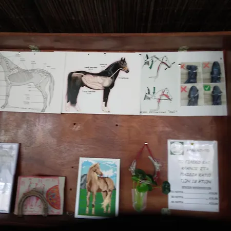 Mersinera Paradise Garden Stars House * ラルナカ