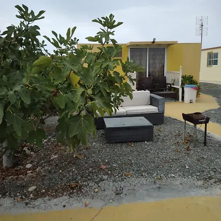 Mersinera Paradise Garden Stars House