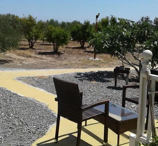 Mersinera Paradise Garden Stars House * ラルナカ