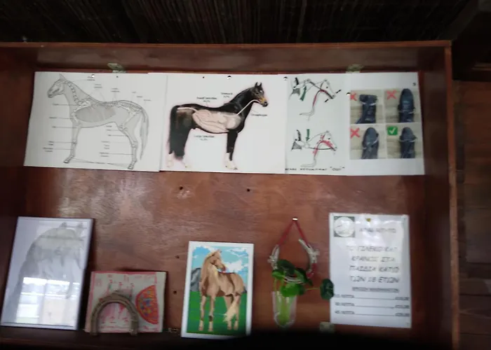 Mersinera Paradise Garden Stars House * ラルナカ