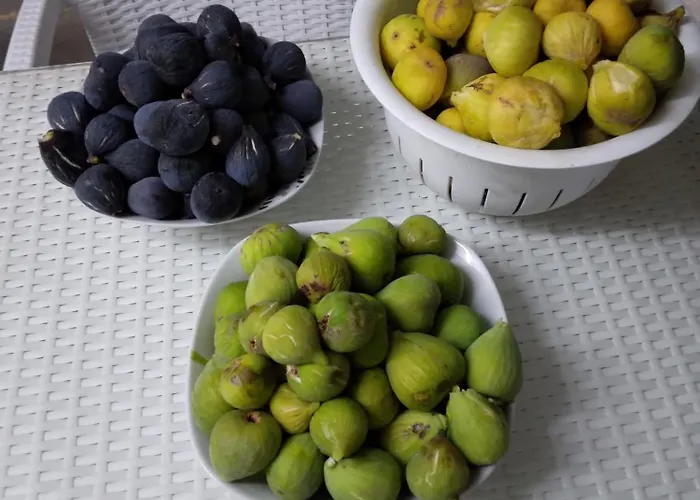 Mersinera Paradise Garden Stars House Prázdninový dům Larnaca