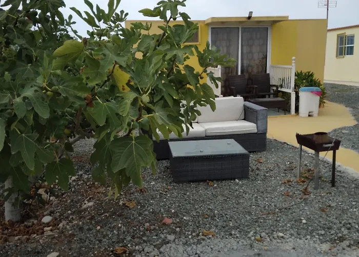 Mersinera Paradise Garden Stars House