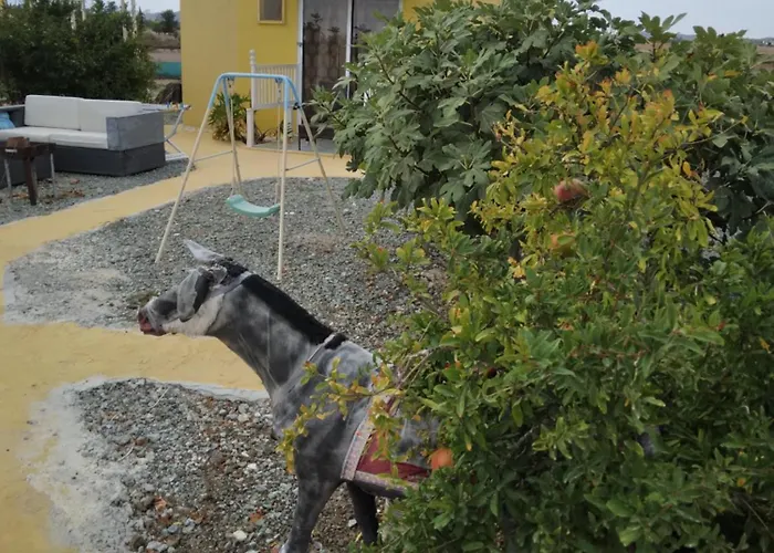 別荘 Mersinera Paradise Garden Stars House