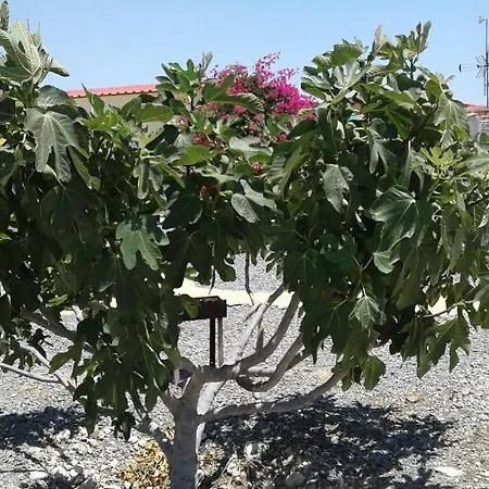 Ferienhaus Mersinera Paradise Garden Stars House