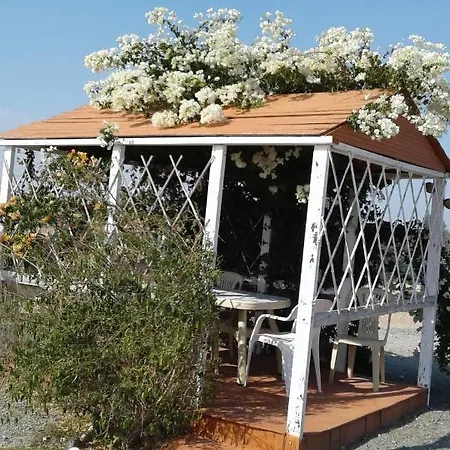 Mersinera Paradise Garden Stars House